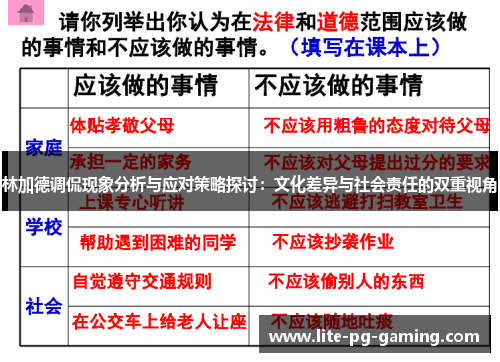 林加德调侃现象分析与应对策略探讨：文化差异与社会责任的双重视角