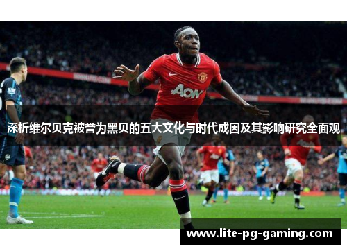 深析维尔贝克被誉为黑贝的五大文化与时代成因及其影响研究全面观