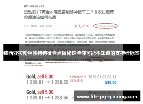 穆西亚拉粉丝独特特征盘点揭秘这些你可能不知道的支持者标签