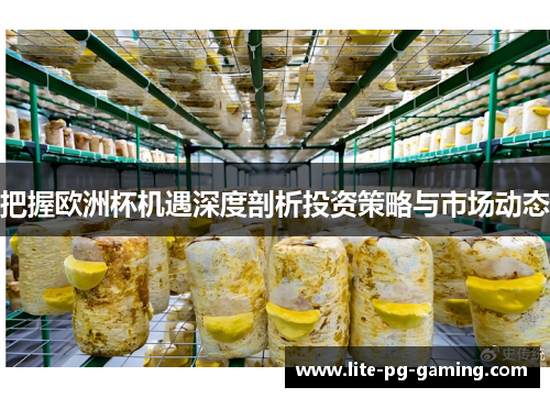 把握欧洲杯机遇深度剖析投资策略与市场动态