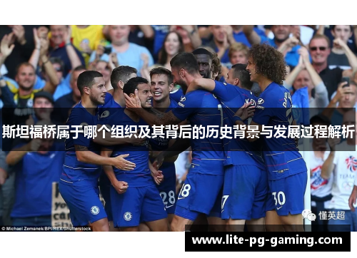 斯坦福桥属于哪个组织及其背后的历史背景与发展过程解析