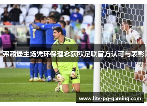 弗赖堡主场凭环保理念获欧足联官方认可与表彰