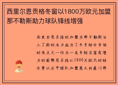 西里尔恩贡格冬窗以1800万欧元加盟那不勒斯助力球队锋线增强