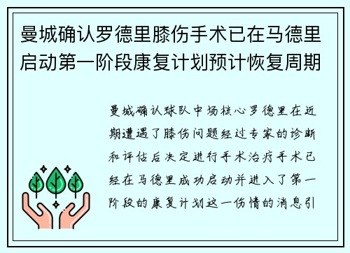 曼城确认罗德里膝伤手术已在马德里启动第一阶段康复计划预计恢复周期受关注