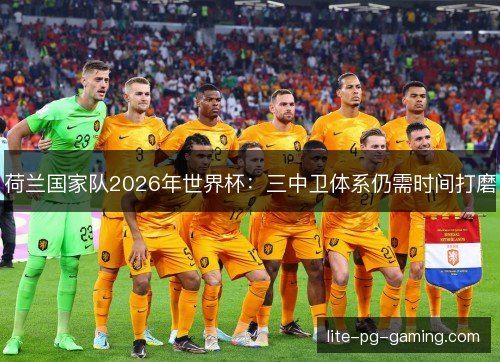 荷兰国家队2026年世界杯：三中卫体系仍需时间打磨
