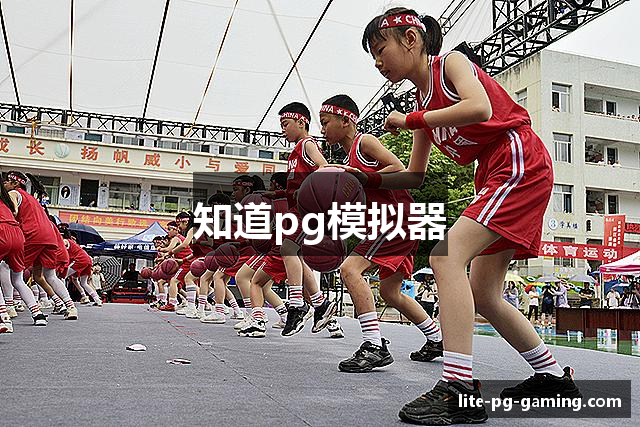 知道pg模拟器